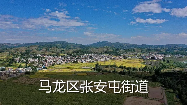 马龙区张安屯街道