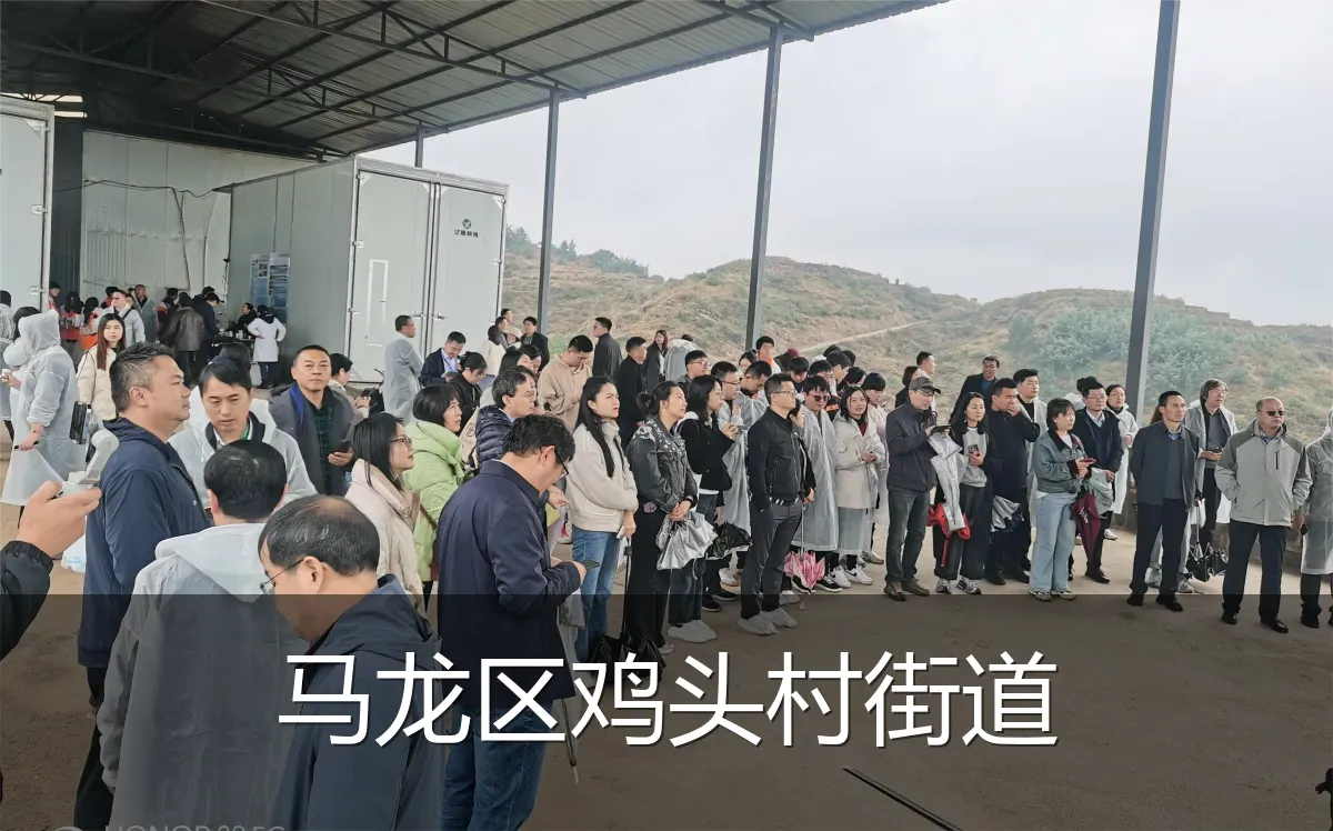 马龙区鸡头村街道